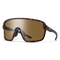 Bobcat, Matte Tortoise + ChromaPop Polarized Brown Lens, hi-res