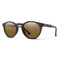 Westward, Matte Tortoise + ChromaPop™ Brown Lens, hi-res